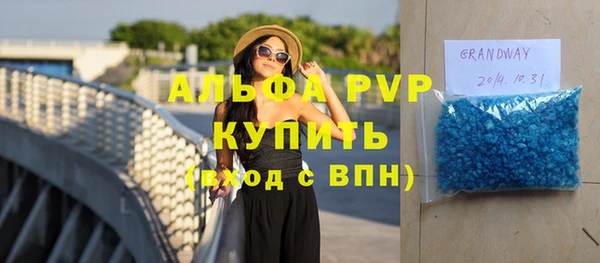 прущие грибы Сосновка