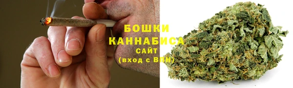 амф Ельня