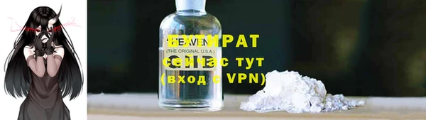 амф Ельня