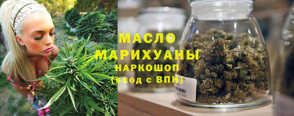 амф Ельня