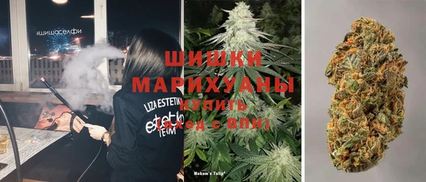 амф Ельня