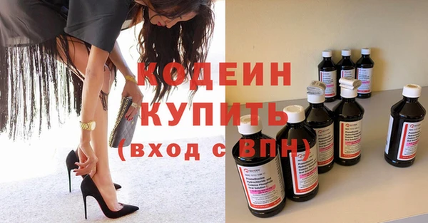 амф Ельня