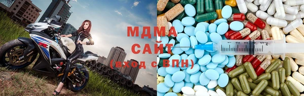 амф Ельня