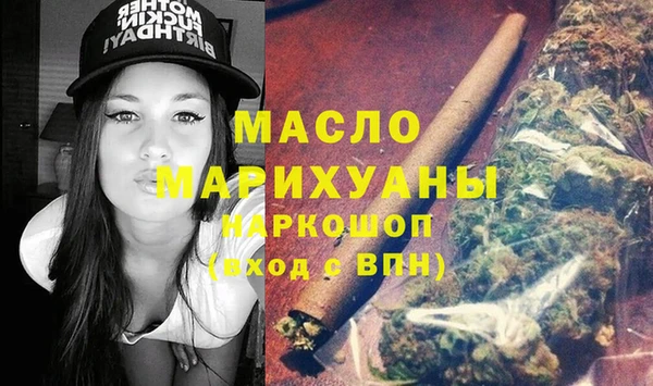 амф Ельня
