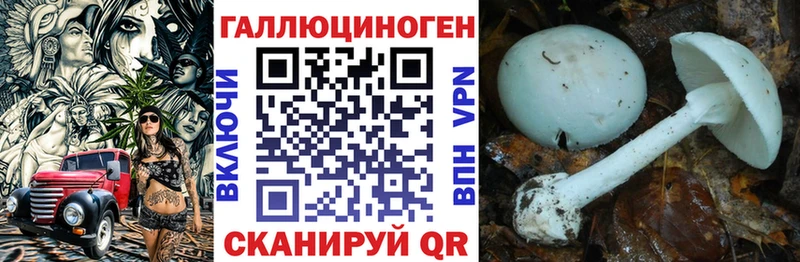 Купить закладки  Кировск  Псилоцибиновые грибы мицелий 