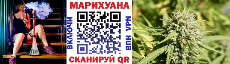 Купить где  Кировск  Бошки марихуана Bruce Banner 